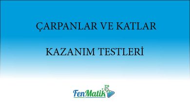 6-sinif-carpanlar-ve-katlari-kazanim-testleri